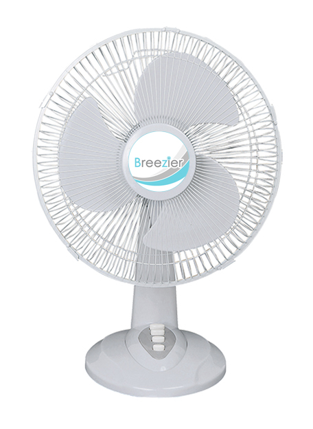 204712DII 12″ Desk Fan