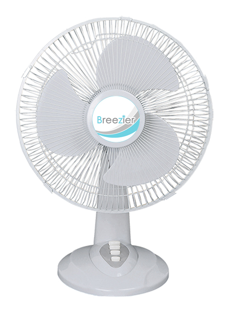 204716DII 16″ Desk Fan