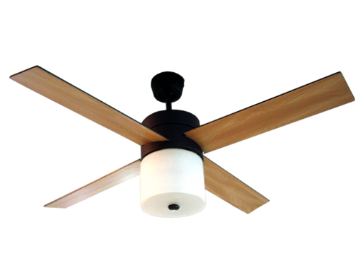 29110 Ceiling Fan